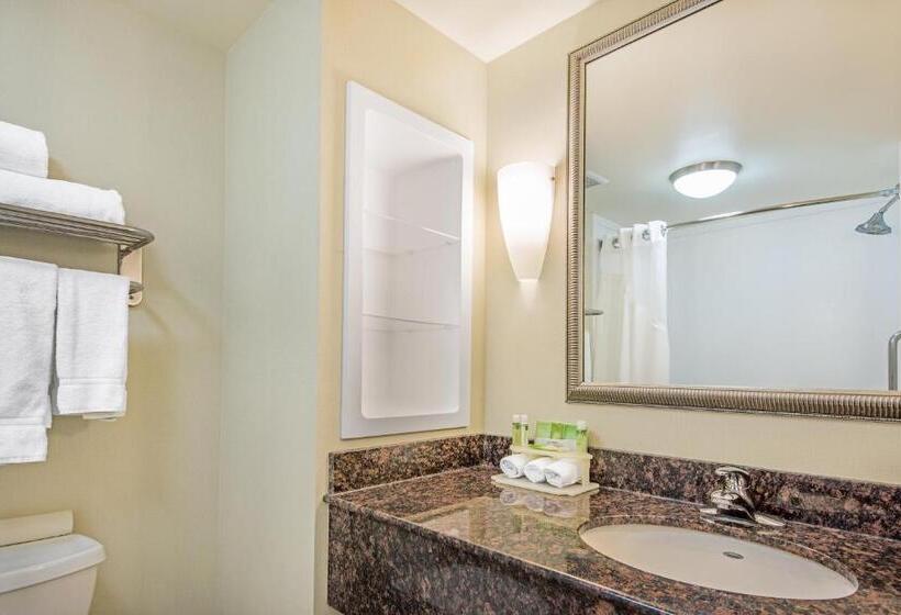 Люкс, Holiday Inn Express Hotel & Suites Clute Lake Jackson, An Ihg