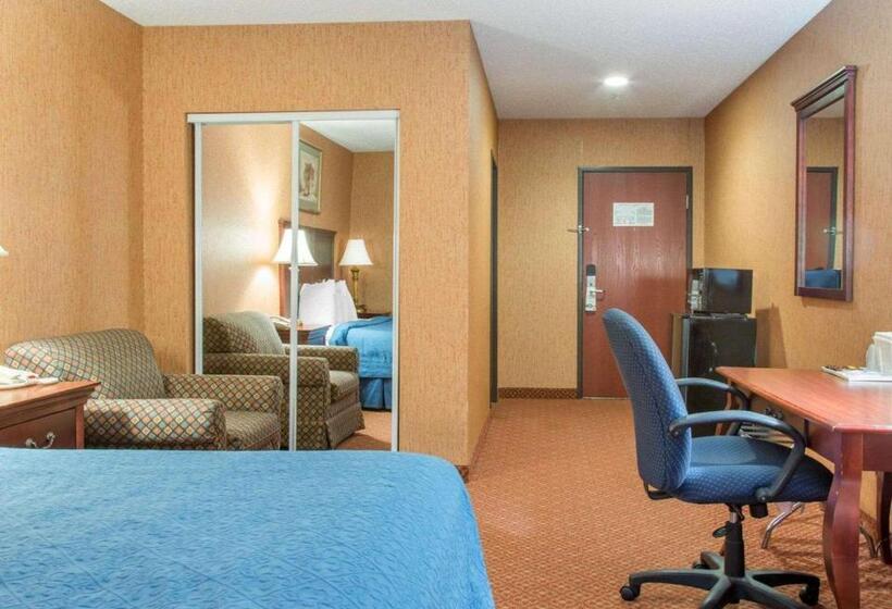 Стандартный Номер Кровать Кинг, Quality Inn & Suites