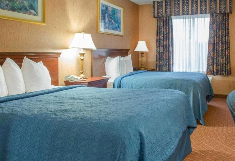 Номер Стандарт 2 Двуспальные Кровати, Quality Inn & Suites