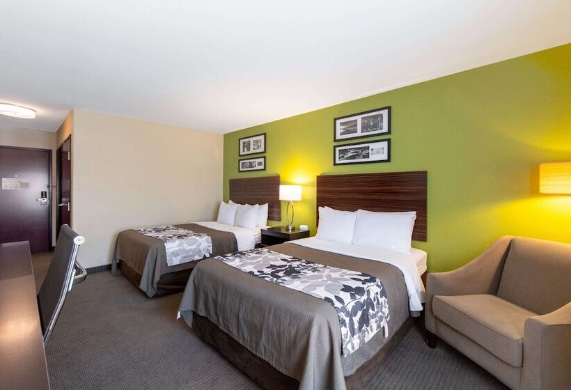 带2个双人床的标准工作室, Sleep Inn & Suites Near Fort Cavazos