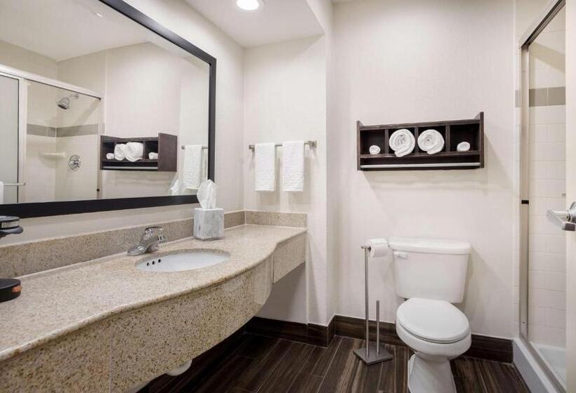 Стандартный Номер Кровать Кинг, Best Western Houma Inn