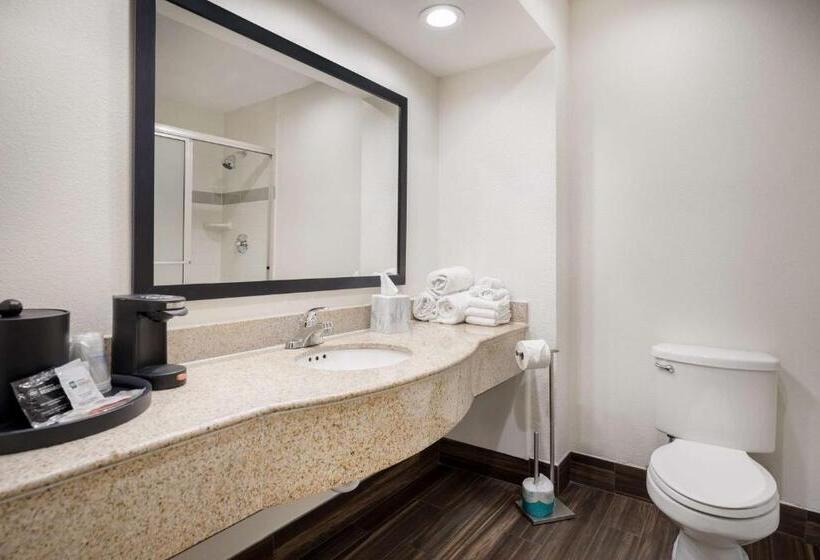 Номер Стандарт, Best Western Houma Inn