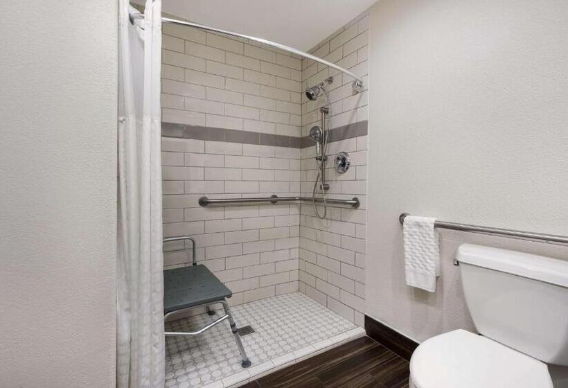 Номер Стандарт Адаптированный для Инвалидов, Best Western Houma Inn