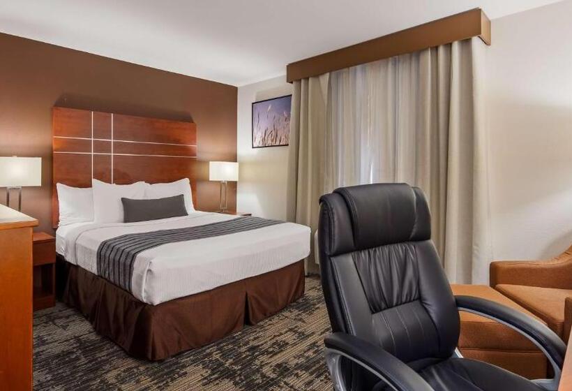 스탠다드 룸 킹사이즈 침대, Best Western Plus Wakeeney Inn & Suites