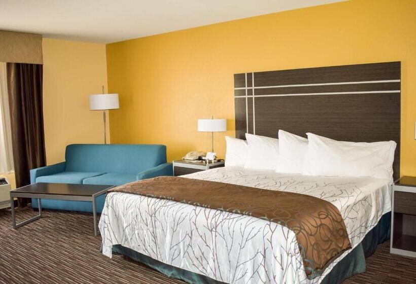 Стандартный Номер Кровать Кинг, Best Western Topaz Lake Inn