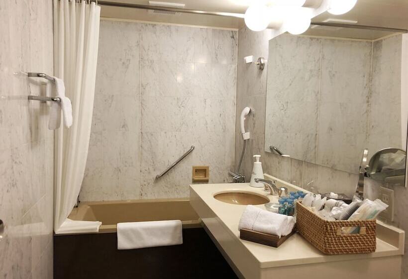 Люкс Классика, Infinito Hotel & Spa Nanki Shirahama