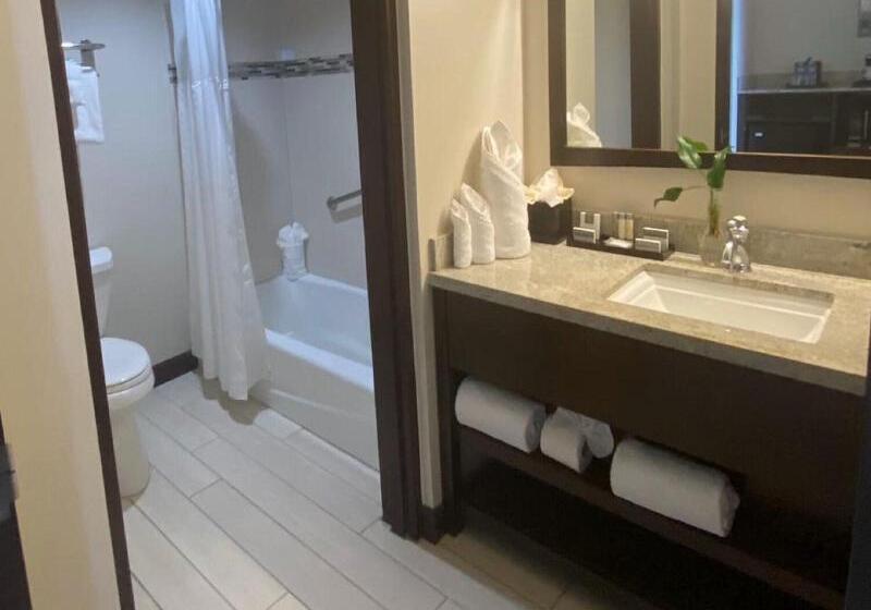 Люкс, Candlewood Suites Pearl, An Ihg