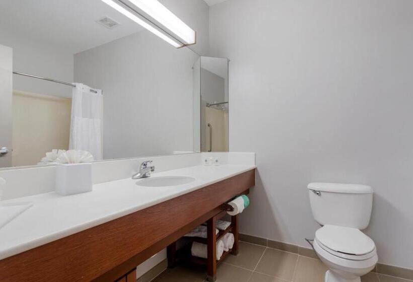 Люкс Кровать Кинг, Comfort Suites La Porte