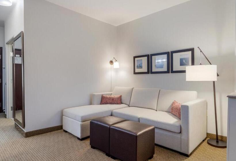 Люкс, Comfort Suites La Porte