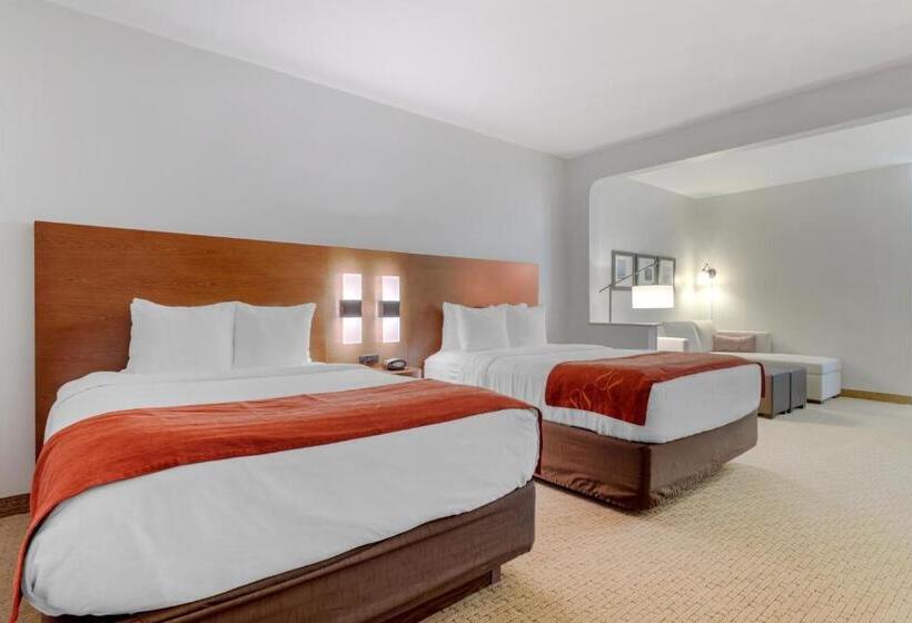 Люкс, Comfort Suites La Porte
