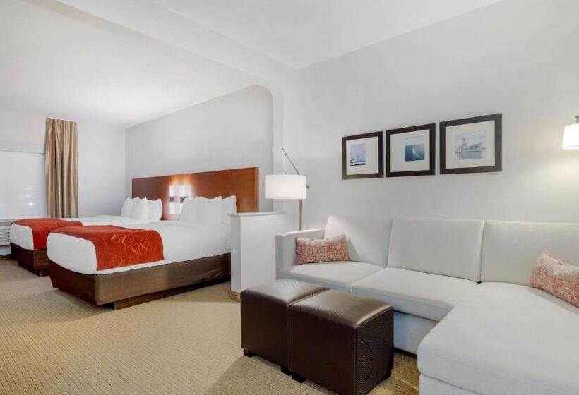 Люкс, Comfort Suites La Porte