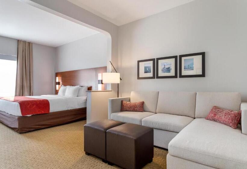 Люкс Адаптированный для Инвалидов, Comfort Suites La Porte