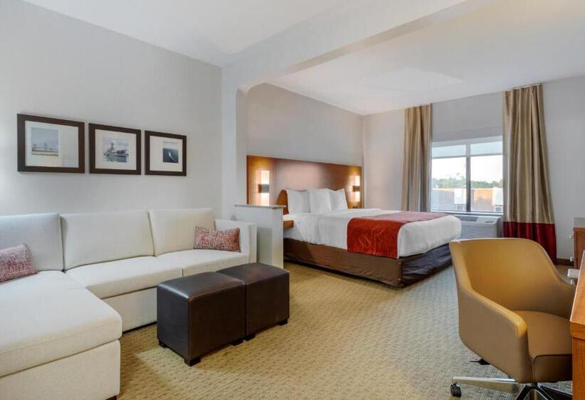 Люкс Адаптированный для Инвалидов, Comfort Suites La Porte
