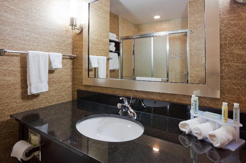 Номер Стандарт Кровать Кинг Адаптированный для Инвалидов, Holiday Inn Express And Suites Rochester West Medical Center, An Ihg