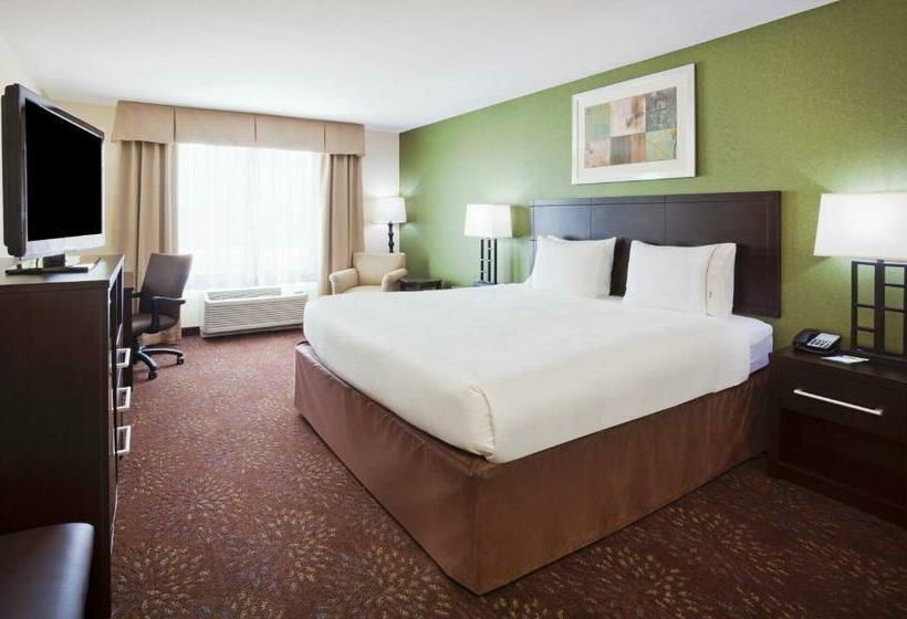 Стандартный Номер Кровать Кинг, Holiday Inn Express And Suites Rochester West Medical Center, An Ihg