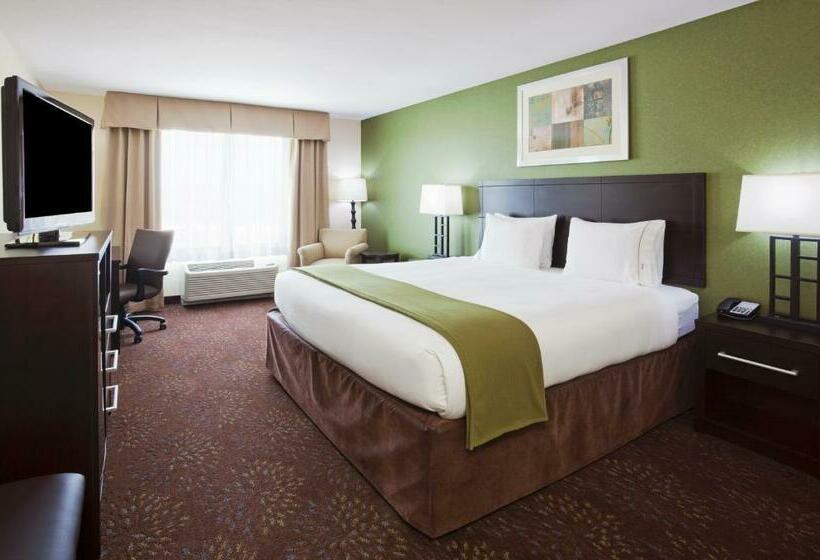 Стандартный Номер Кровать Кинг, Holiday Inn Express And Suites Rochester West Medical Center, An Ihg