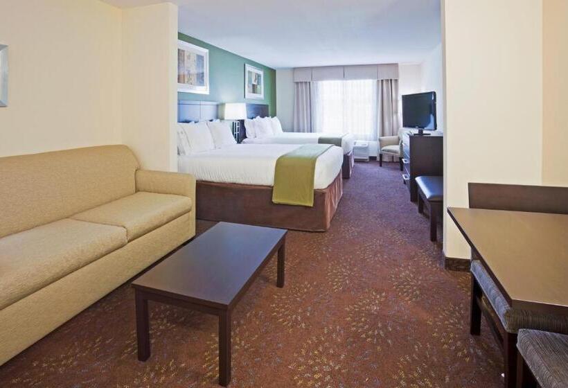 Номер Deluxe, Holiday Inn Express And Suites Rochester West Medical Center, An Ihg