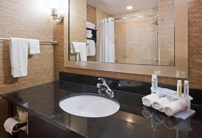 Люкс, Holiday Inn Express And Suites Rochester West Medical Center, An Ihg