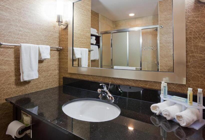 Номер Стандарт Адаптированный для Инвалидов, Holiday Inn Express And Suites Rochester West Medical Center, An Ihg