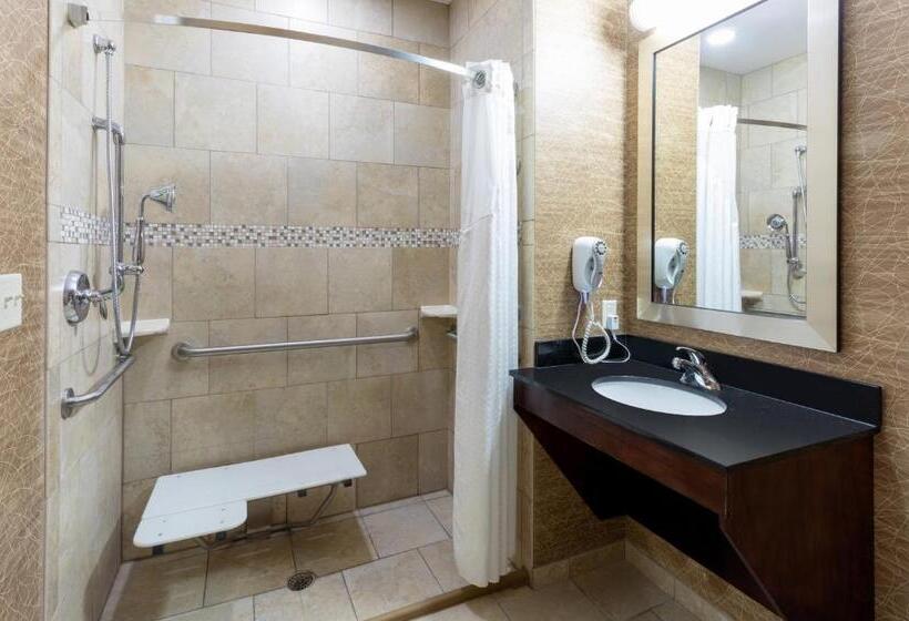 Люкс Адаптированный для Инвалидов, Holiday Inn Express And Suites Rochester West Medical Center, An Ihg