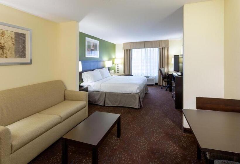 Люкс Повышенной Комфортности, Holiday Inn Express And Suites Rochester West Medical Center, An Ihg
