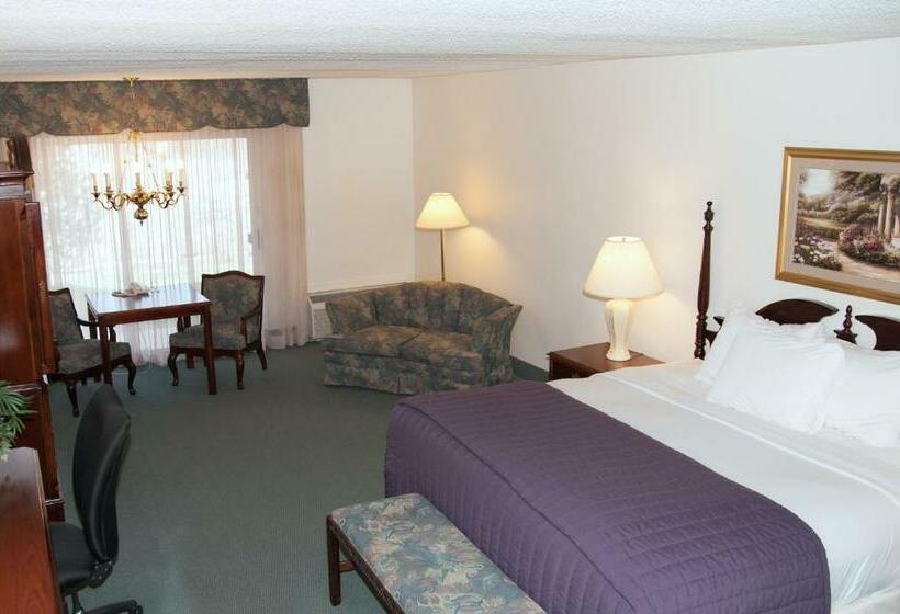 Стандартный Номер Кровать Кинг, River Terrace Inn