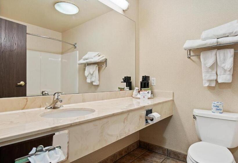 Люкс Адаптированный для Инвалидов, Stay Usa Hotel And Suites