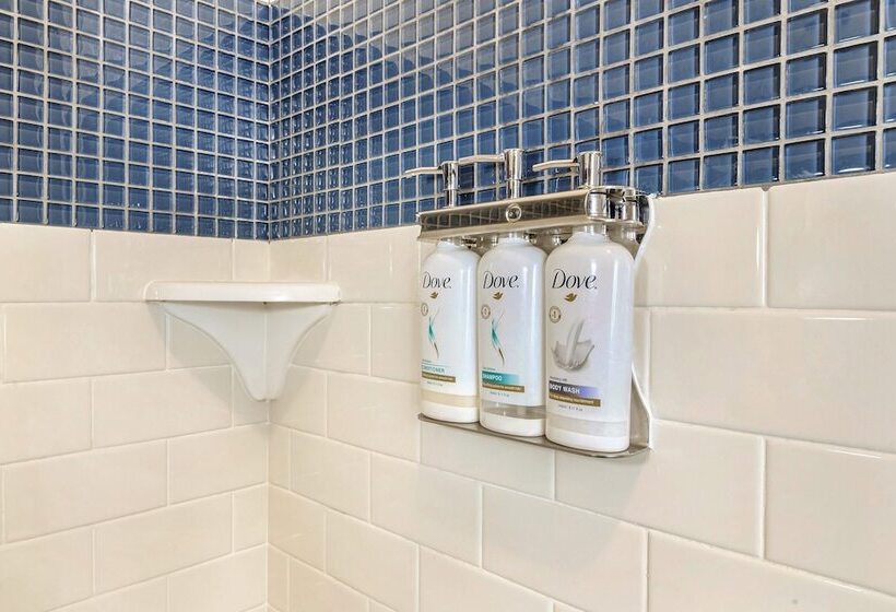 スタンダードスタジオ, Staybridge Suites Tyler University Area, An Ihg