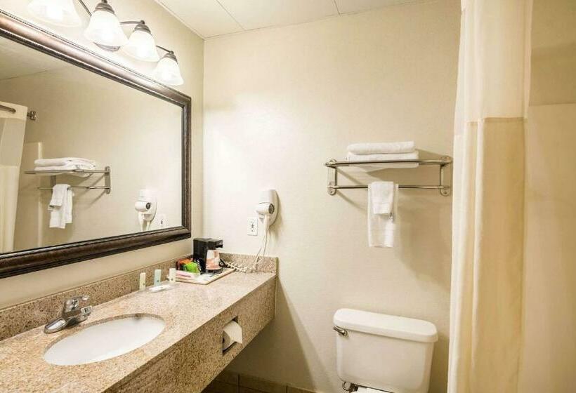 스탠다드 룸 킹사이즈 침대, Quality Inn Alexander City