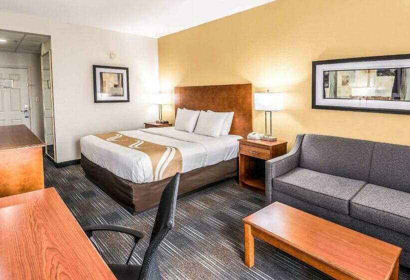 스탠다드 룸 킹사이즈 침대, Quality Inn Alexander City