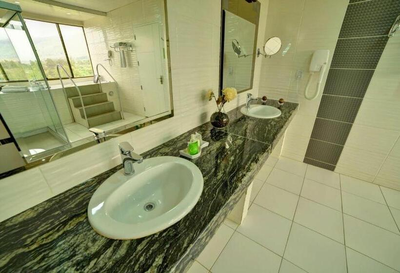 اتاق استاندارد یک نفره, Regina Resort & Convenciones