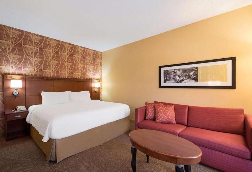 Стандартный Номер Кровать Кинг, Sonesta Select Detroit Auburn Hills