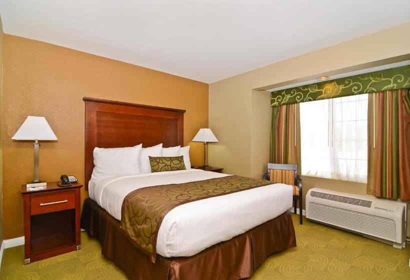 身障者適用キングサイズベッドルーム, Best Western California City Inn & Suites