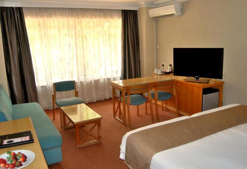 اتاق استاندارد, Safari Hotel & Convention Centre