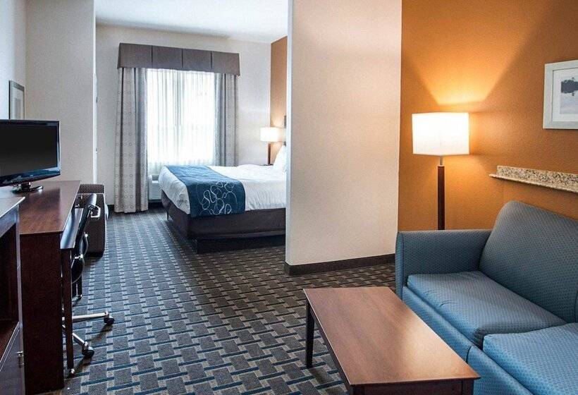 Люкс, Comfort Suites Waxahachie   Dallas