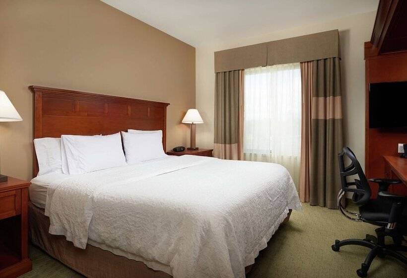 스탠다드 룸, Hampton Inn & Suites Salem, Or