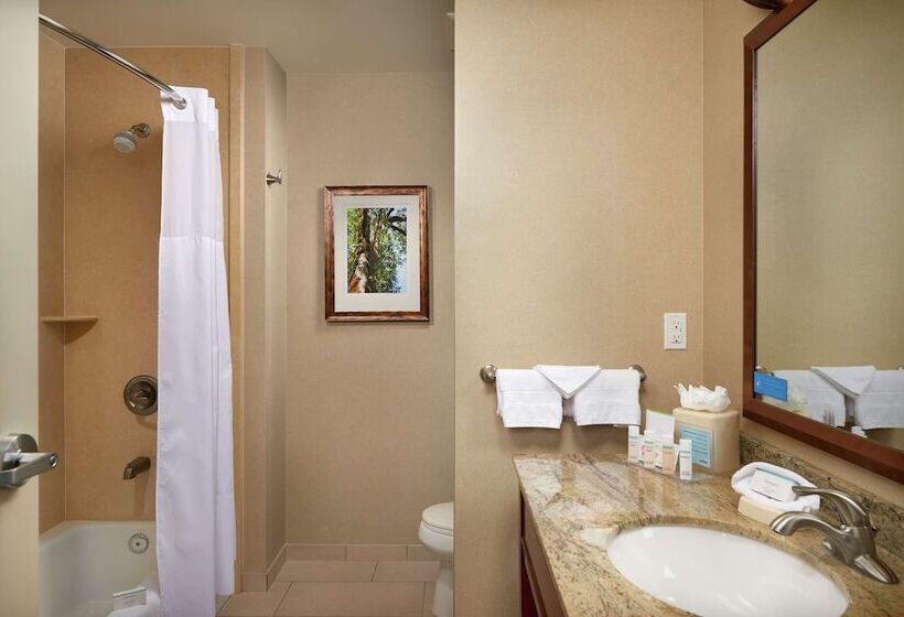 프리미엄 룸, Hampton Inn & Suites Salem, Or