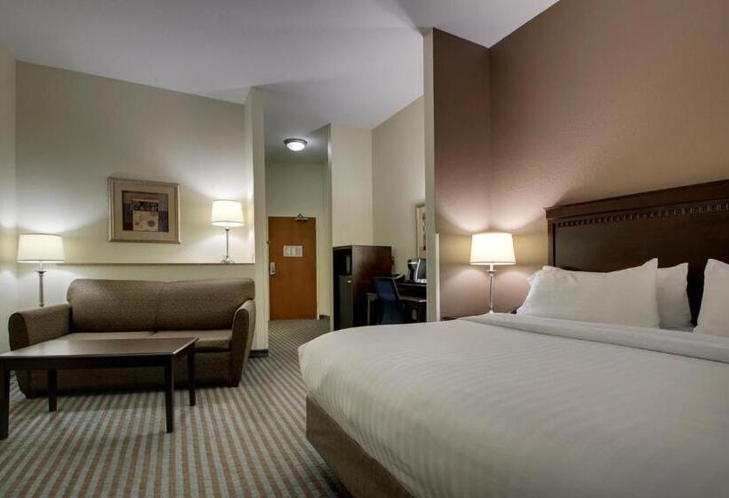 Номер Стандарт Кровать Кинг Адаптированный для Инвалидов, Holiday Inn Express Leland   Wilmington Area, An Ihg