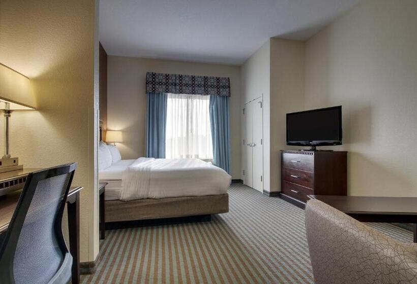 Номер Стандарт Кровать Кинг Адаптированный для Инвалидов, Holiday Inn Express Leland   Wilmington Area, An Ihg
