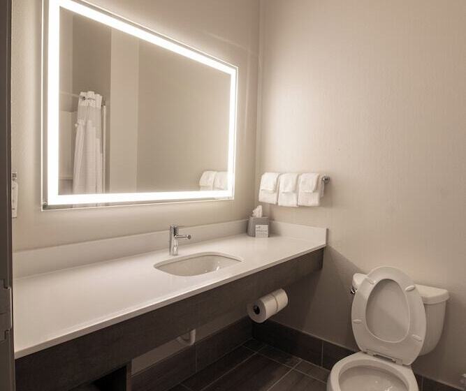 Номер Стандарт, Holiday Inn Express Leland   Wilmington Area, An Ihg