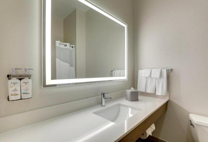 Номер Executive Кровать Кинг, Holiday Inn Express Leland   Wilmington Area, An Ihg