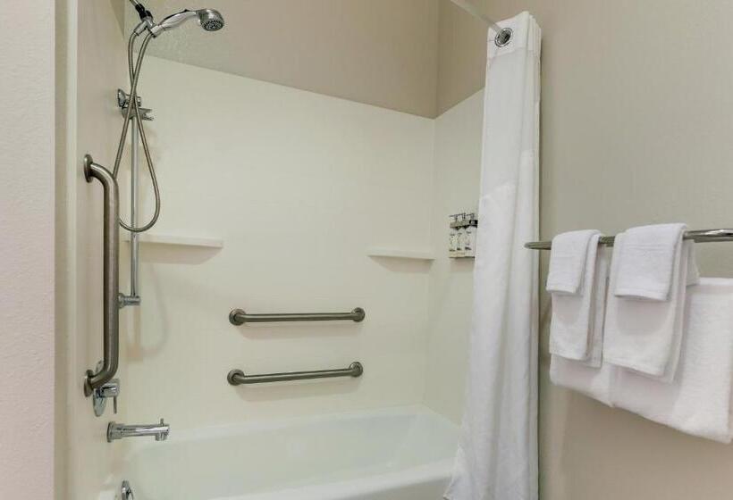 Номер Стандарт Адаптированный для Инвалидов, Holiday Inn Express Leland   Wilmington Area, An Ihg