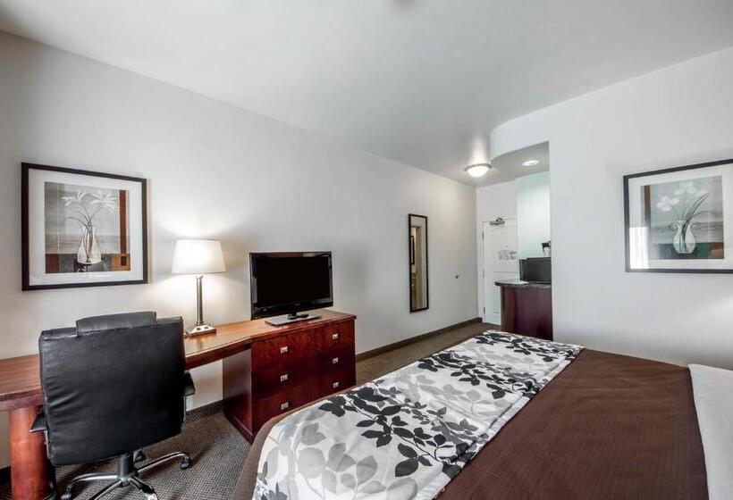 اتاق استاندارد با تخت بزرگ, Sleep Inn & Suites Lawton Near Fort Sill