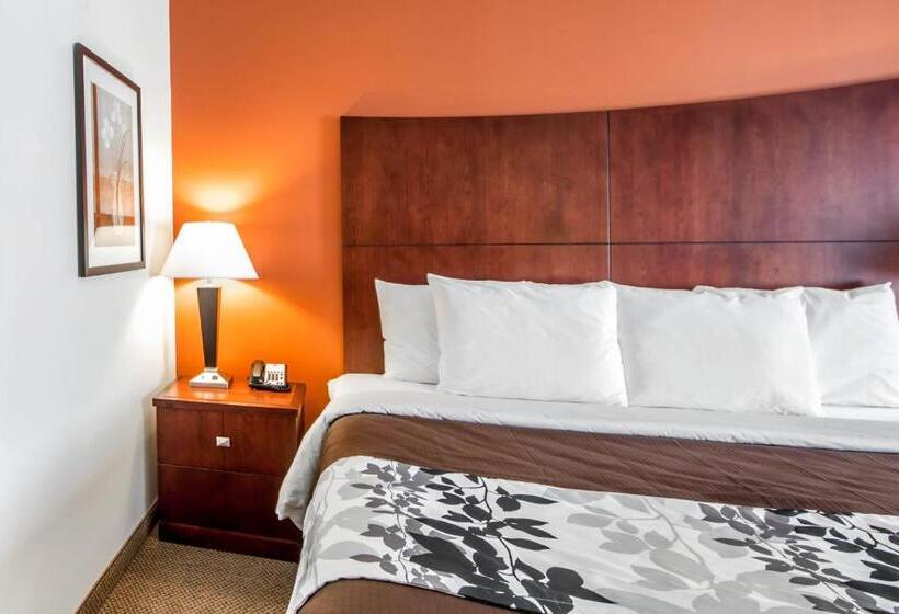 اتاق استاندارد با تخت بزرگ, Sleep Inn & Suites Lawton Near Fort Sill