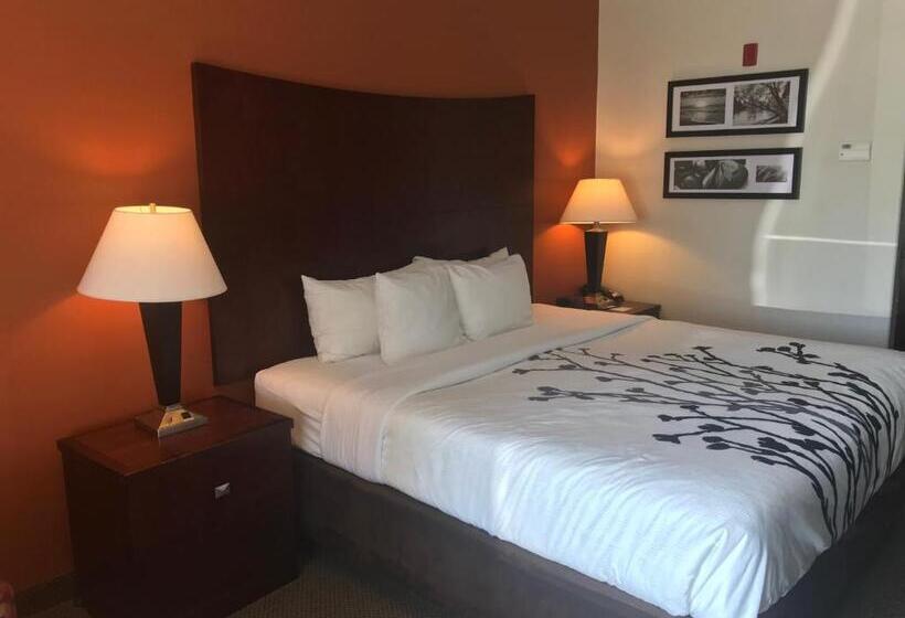 اتاق استاندارد با تخت بزرگ, Sleep Inn & Suites Lawton Near Fort Sill