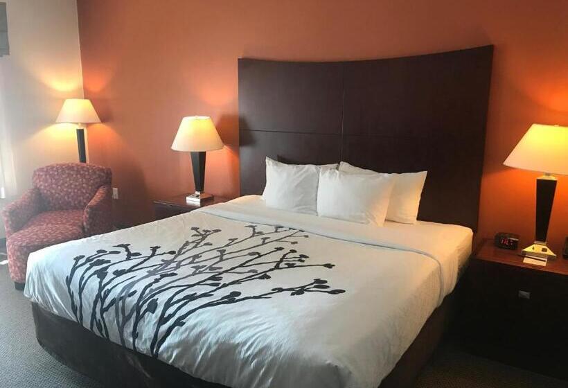 اتاق استاندارد با تخت بزرگ, Sleep Inn & Suites Lawton Near Fort Sill