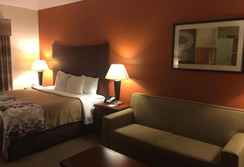 سوئیت با تخت بزرگ, Sleep Inn & Suites Lawton Near Fort Sill
