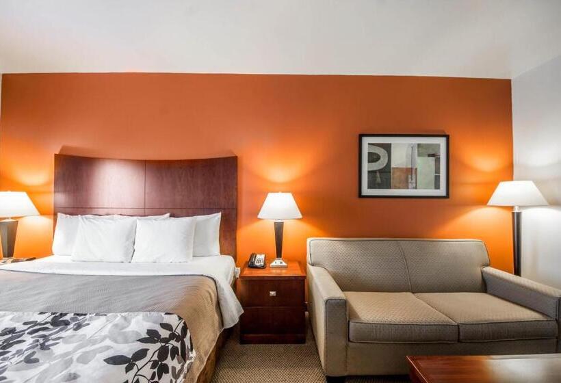 سوئیت با تخت بزرگ, Sleep Inn & Suites Lawton Near Fort Sill