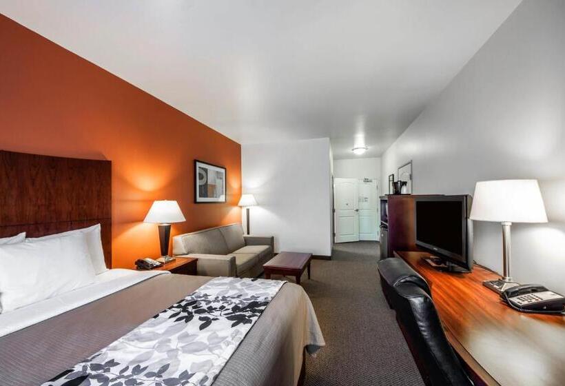 سوئیت با تخت بزرگ, Sleep Inn & Suites Lawton Near Fort Sill