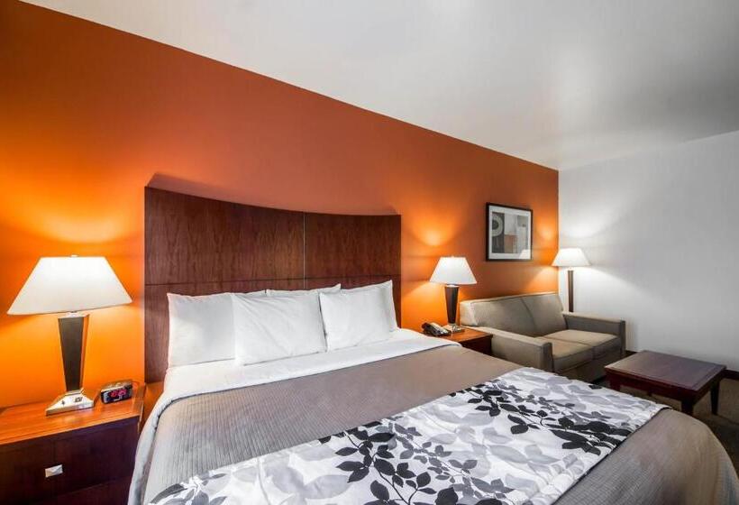 سوئیت با تخت بزرگ, Sleep Inn & Suites Lawton Near Fort Sill